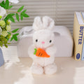 HY-MR8006 Coniglietto carota felice - 30 cm